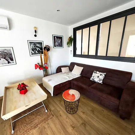 Superbe T2 Moderne Avec Clim, Wifi, Parking - 2/4 Personnes - Fr-1-794-170 *
