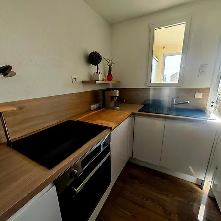 Superbe T2 Moderne Avec Clim, Wifi, Parking - 2/4 Personnes - Fr-1-794-170 Canet-en-Roussillon