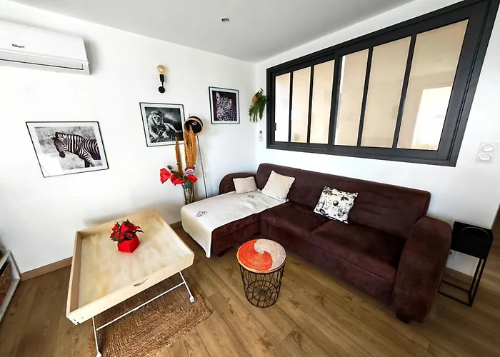 Superbe T2 Moderne Avec Clim, Wifi, Parking - 2/4 Personnes - Fr-1-794-170 *